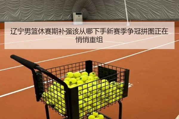 辽宁男篮休赛期补强该从哪下手新赛季争冠拼图正在悄悄重组（douyu）
